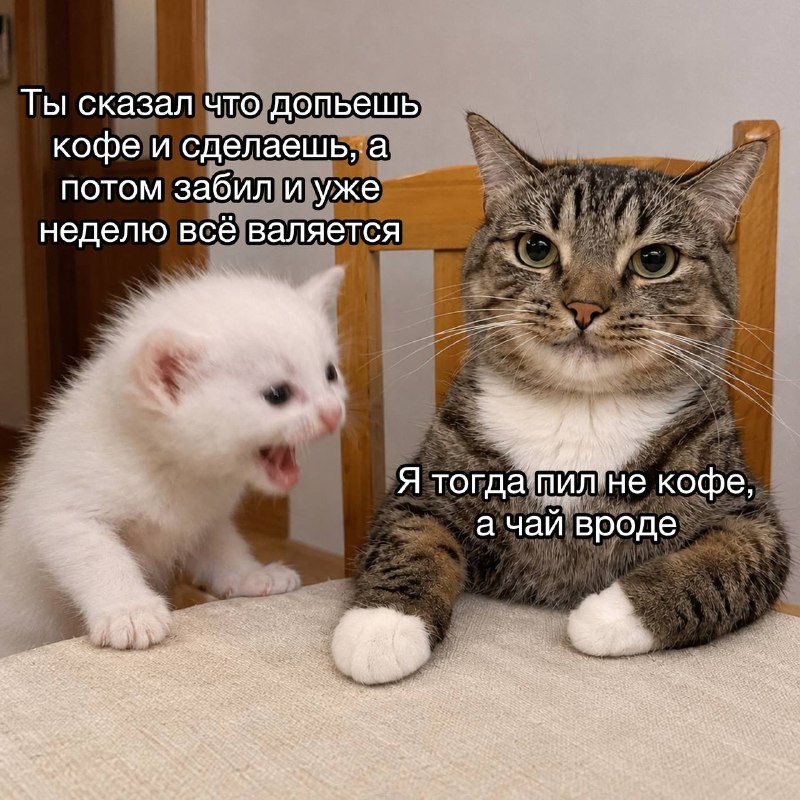 Фото поста канала FEMALE MEMES