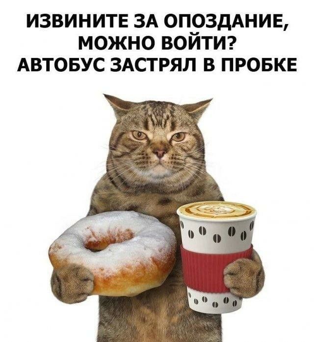 Фото поста канала москоугёрлз