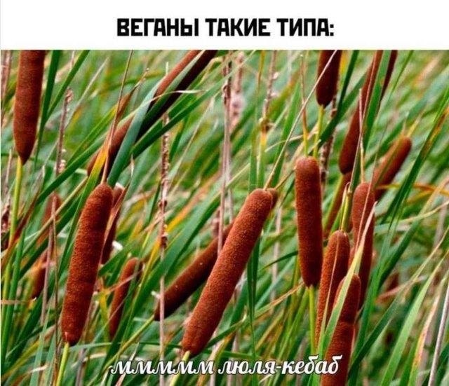 Фото поста канала  Буратино в гестапо