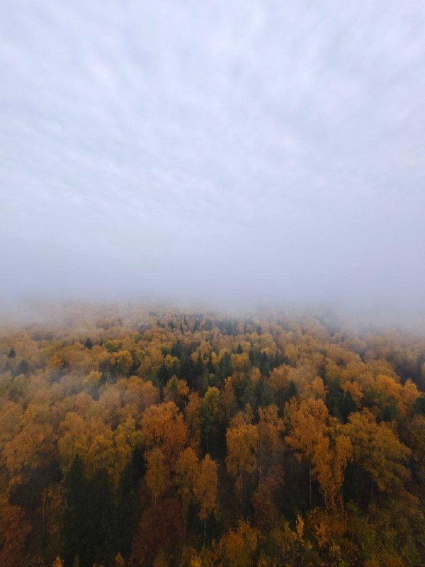 Фото поста канала  Балашухер