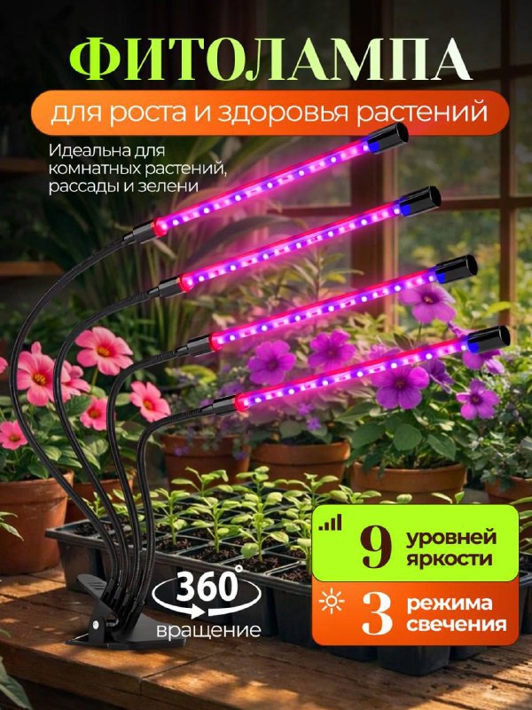 Фото поста канала КЭШБЭК⚡️WILDBERRIES | Халява | Товары бесплатно за отзывы | Раздача | Продвижение карточки | Скидки | Акции | Выкупы | OZON