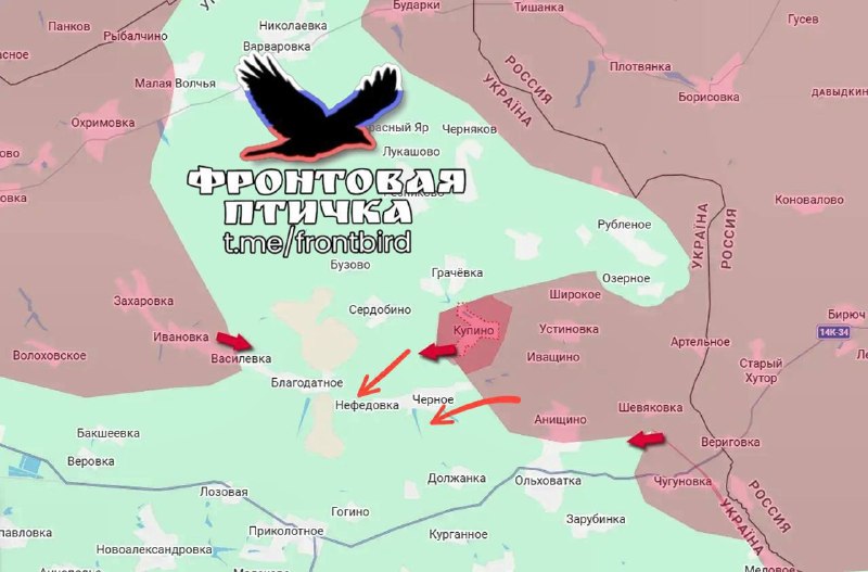 Фото поста канала  Фронтовая птичка
