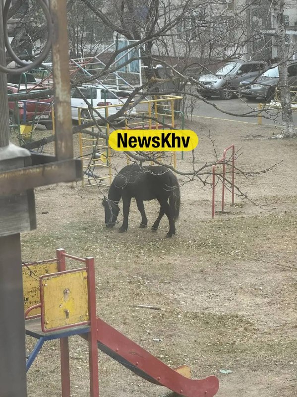 Фото поста канала  NewsKhv