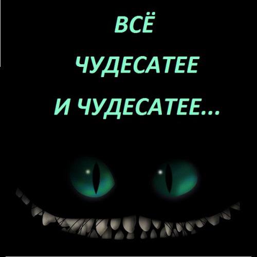 Фото поста канала  Юлия Витязева