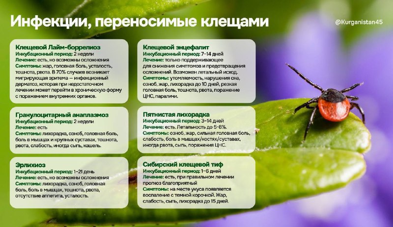 Фото поста канала  Мониторинг 45 Курганская область