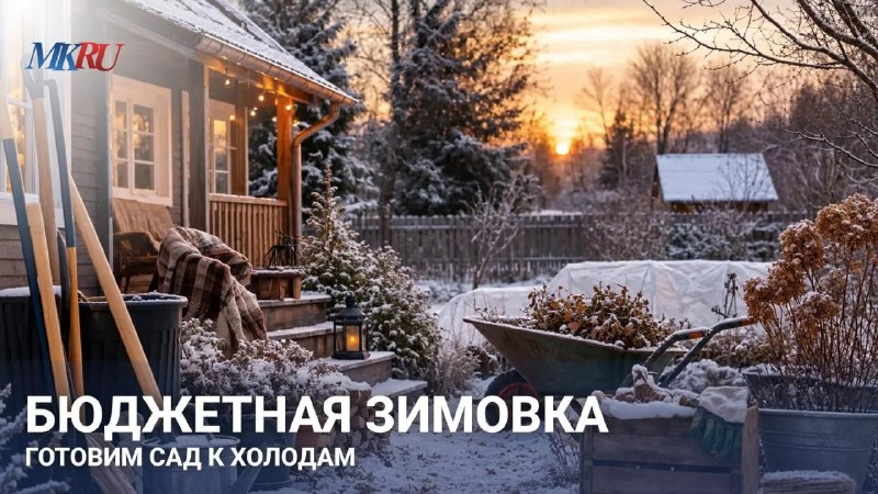 Фото поста канала  Московский комсомолец: главное сегодня