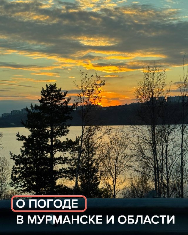 Фото поста канала  Мониторинг 51 Мурманская область