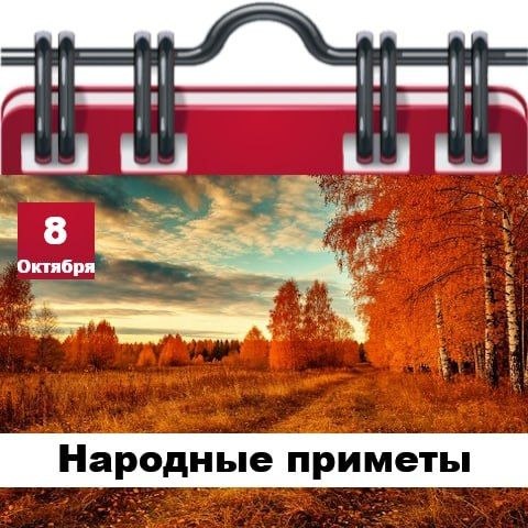 Фото поста канала  Жесть Шебекино