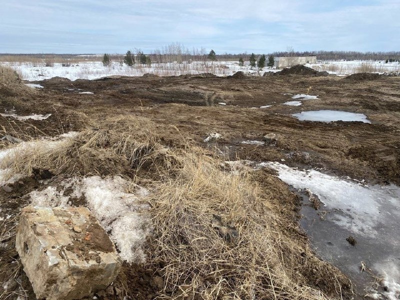 Фото поста канала  Тассовка