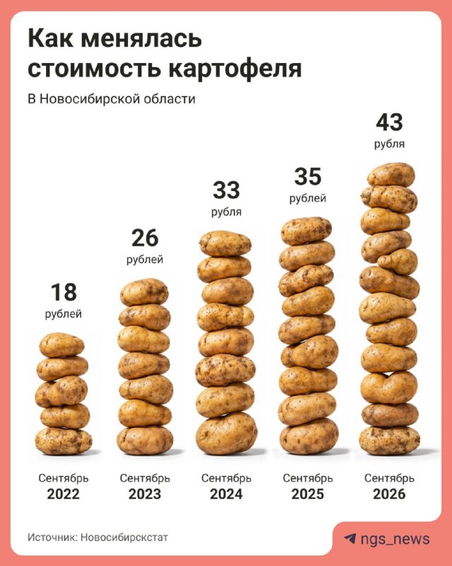 Фото поста канала НГС — новости Новосибирска