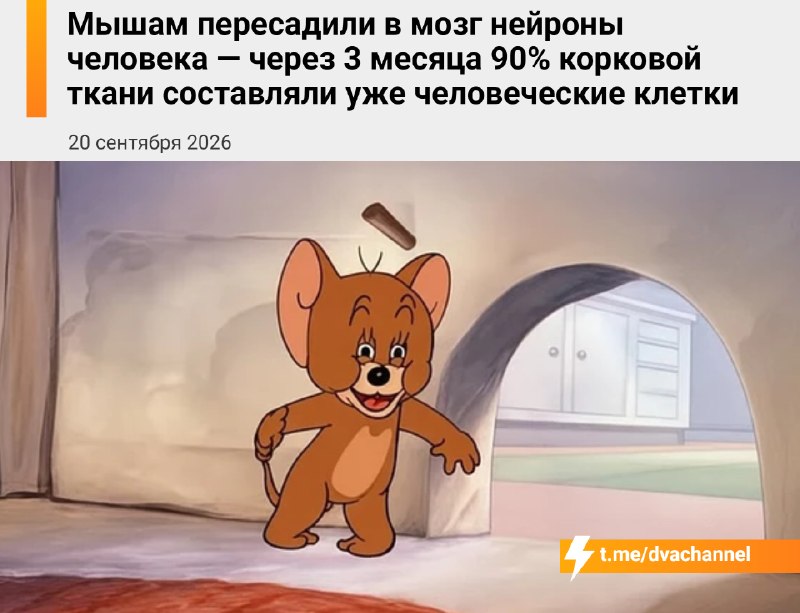 Фото поста канала Двач