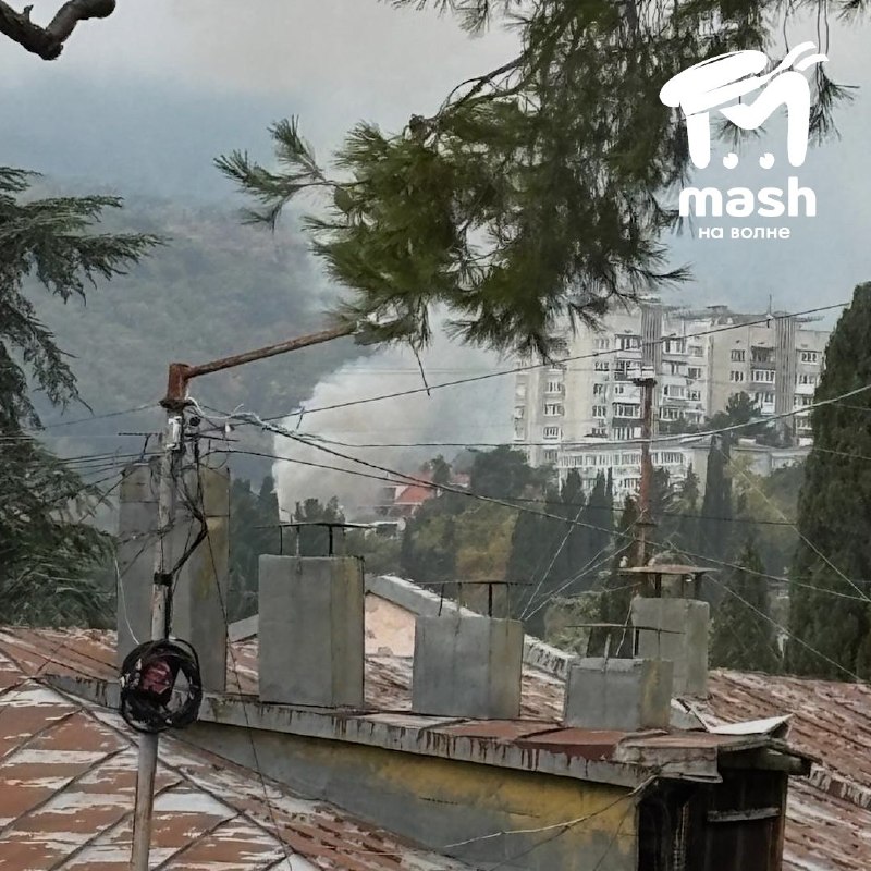 Фото поста канала  Mash на волне