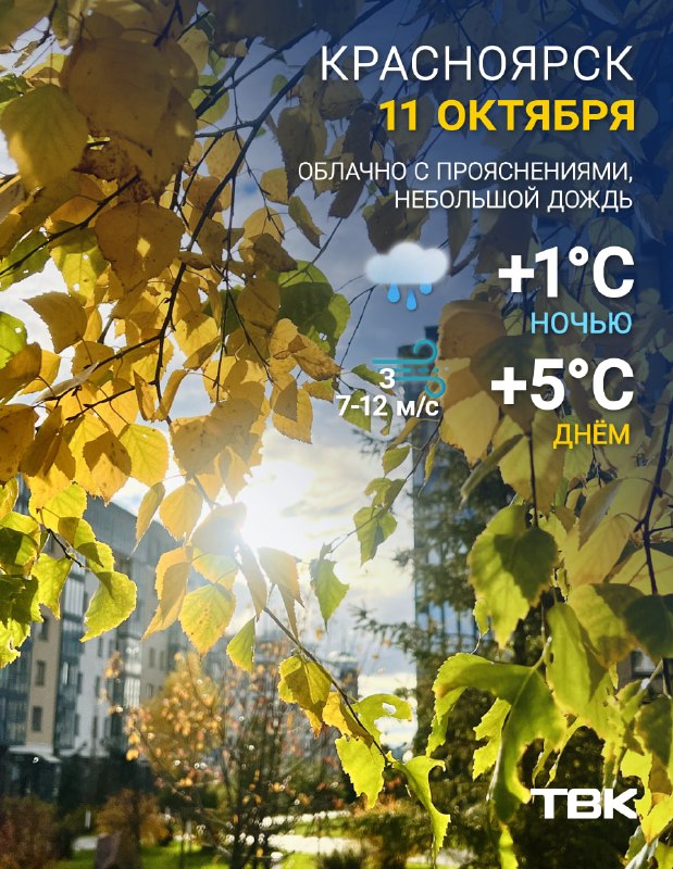 Фото поста канала  ТВК