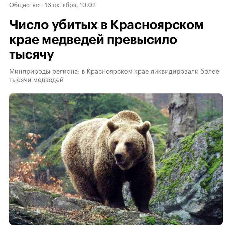 Фото поста канала  РУПОСТ