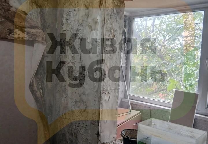 Фото поста канала  Живая Кубань