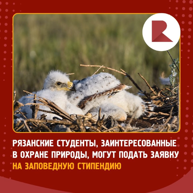 Фото поста канала RZN LIFE | ЖИЗНЬ РЯЗАНИ | РЯЗАНЬ
