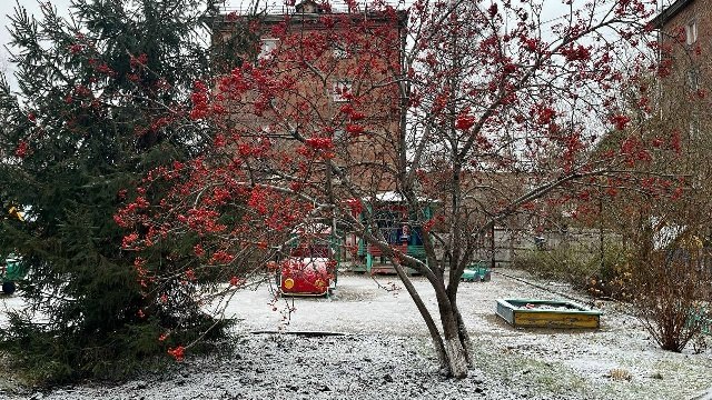 Фото поста канала Инцидент Новосибирск