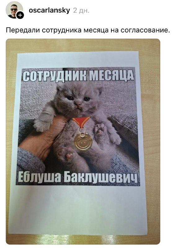 Фото поста канала Передали коллегам
