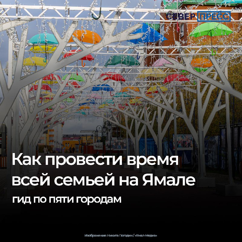 Фото поста канала  Ямал-Медиа | Салехард | Надым | Новый Уренгой | Ноябрьск