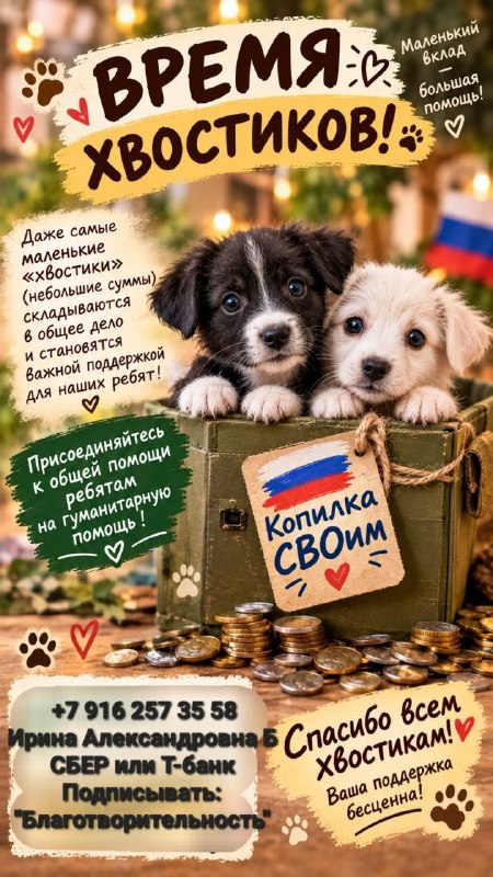 Фото поста канала  По ZOVу сердца❤️‍🔥