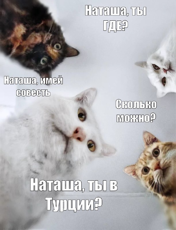 Фото поста канала  ОБЫЧНЫЙ СТАВРОПОЛЬ