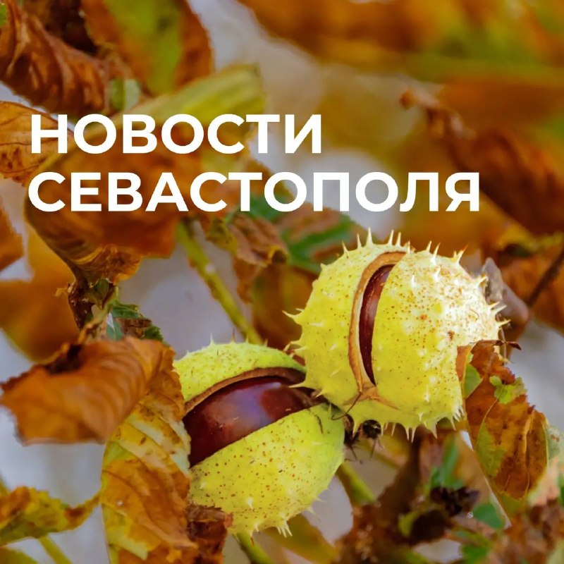 Фото поста канала  РаZVожаев