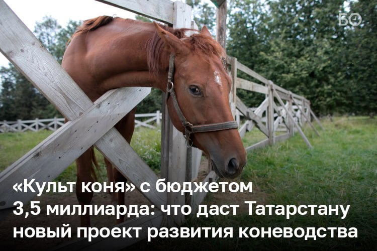 Фото поста канала  БИЗНЕС Online