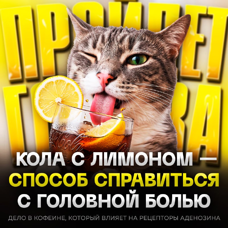 Фото поста канала  Рифмы и Панчи 🤯