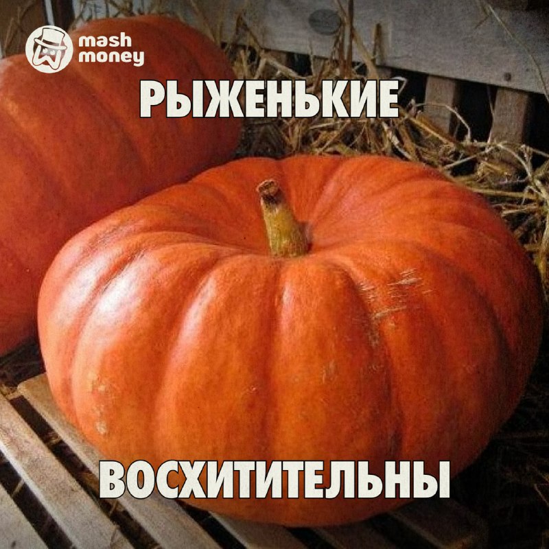 Фото поста канала  Mash