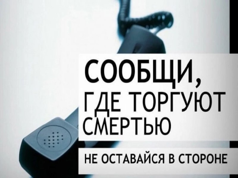Фото поста канала Лента новостей ДНР | Z ТГ_ТЕСТ