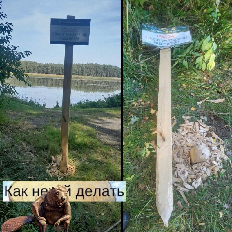 Фото поста канала ТОПОР - Горячие новости