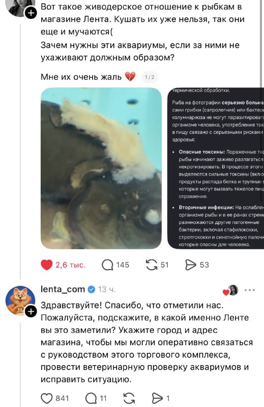 Фото поста канала Петербург с огоньком