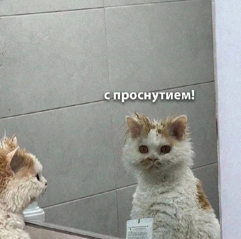 Фото поста канала  ИА ЛАБЫТНАНГИ
