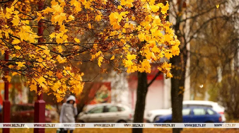 Фото поста канала  Виртуальный Брест новости