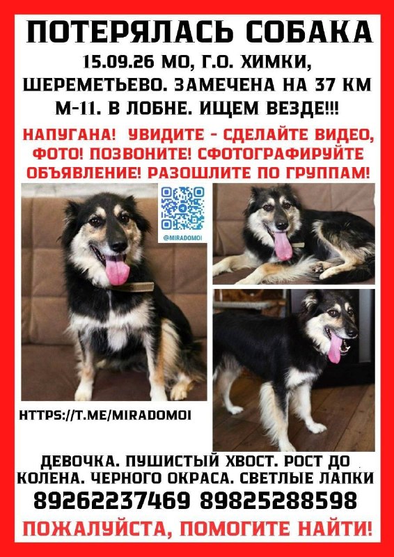 Фото поста канала СКЕТЧУП