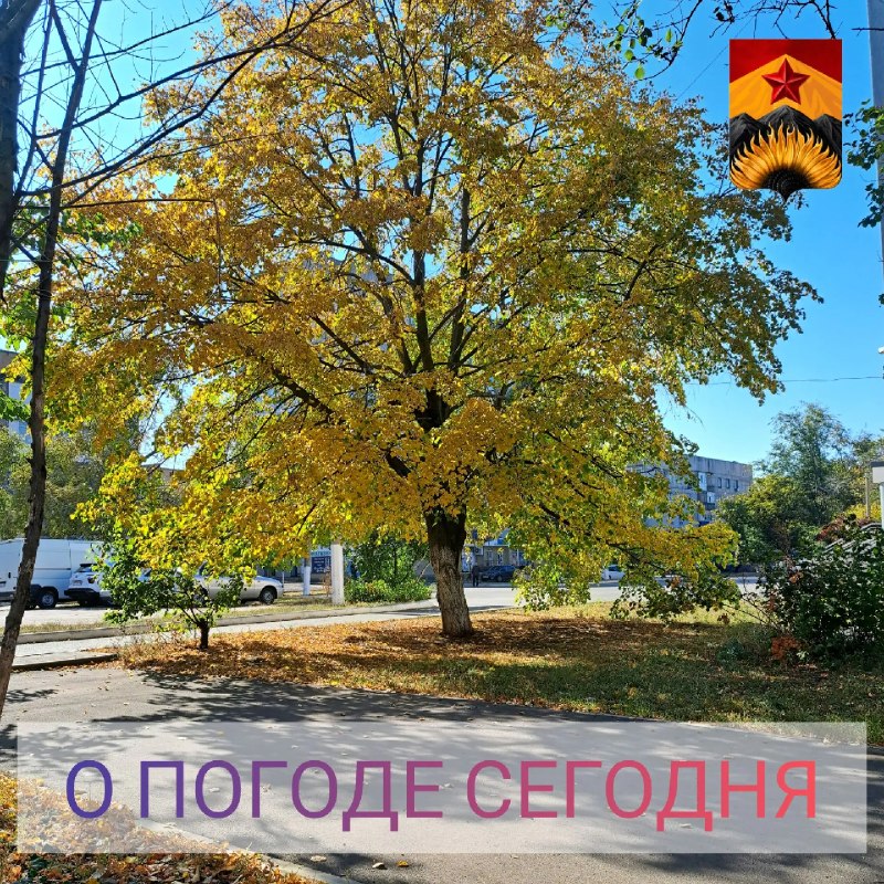 Фото поста канала Лента новостей ДНР | Z ТГ_ТЕСТ