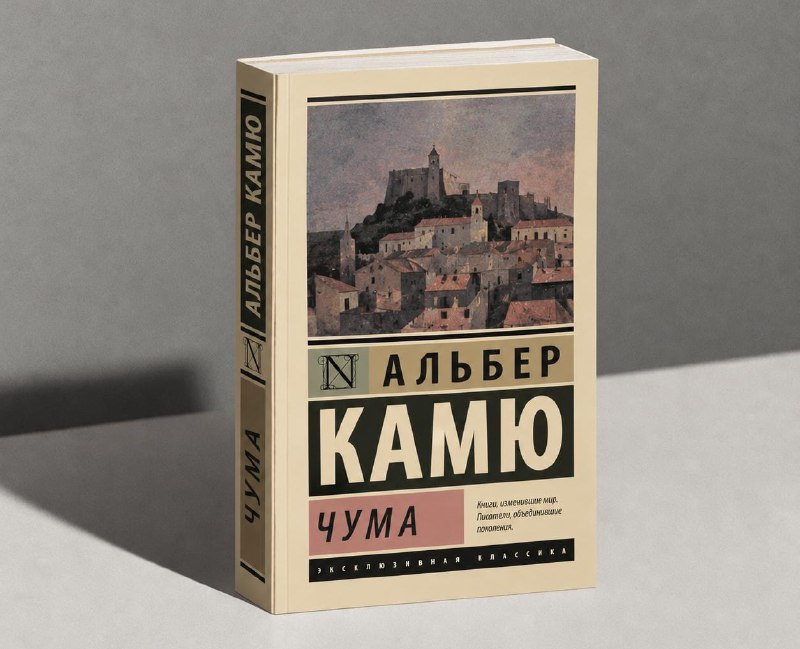 Фото поста канала  Шейх Тамир