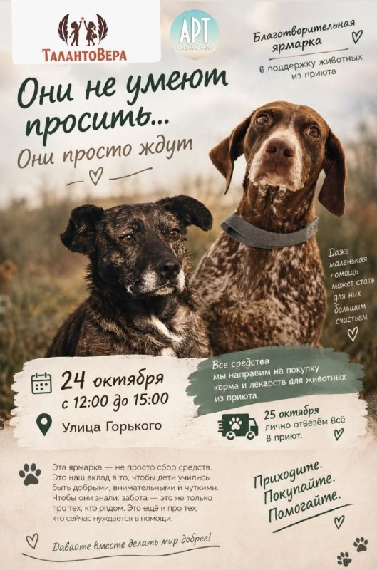Фото поста канала  Юрий Озаровский Анапа Витязево Джемете