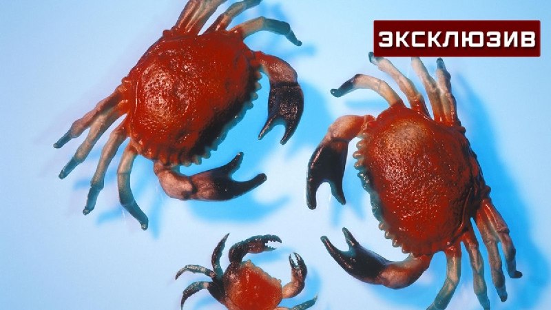 Фото поста канала  Лента новостей Крыма Z Новости Крыма