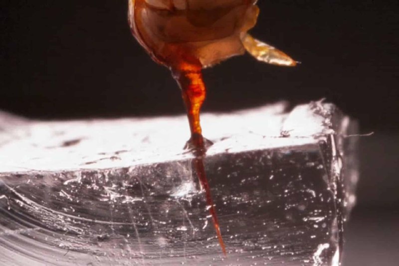 Фото поста канала Naked Science