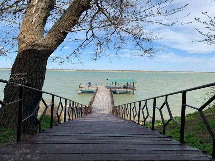 Фото поста канала  РОСТОВ ПАПА РОСТОВ-НА-ДОНУ
