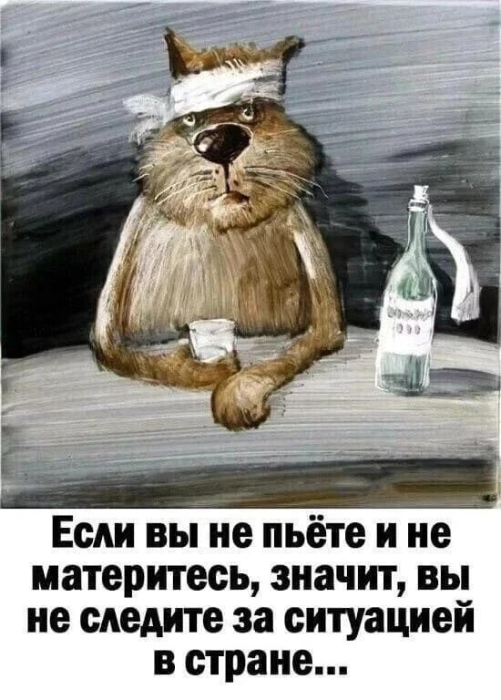 Фото поста канала  Новозыбков FOX