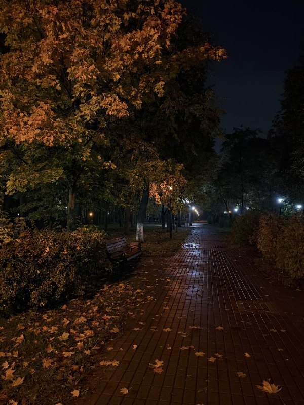 Фото поста канала  Ночной дозор