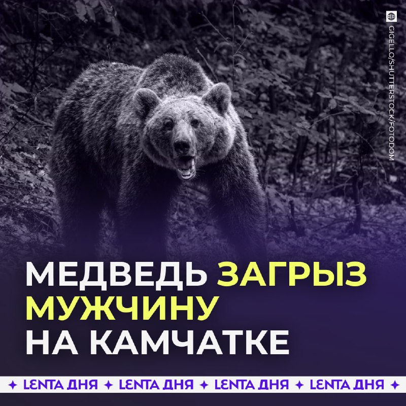 Фото поста канала Лента дня