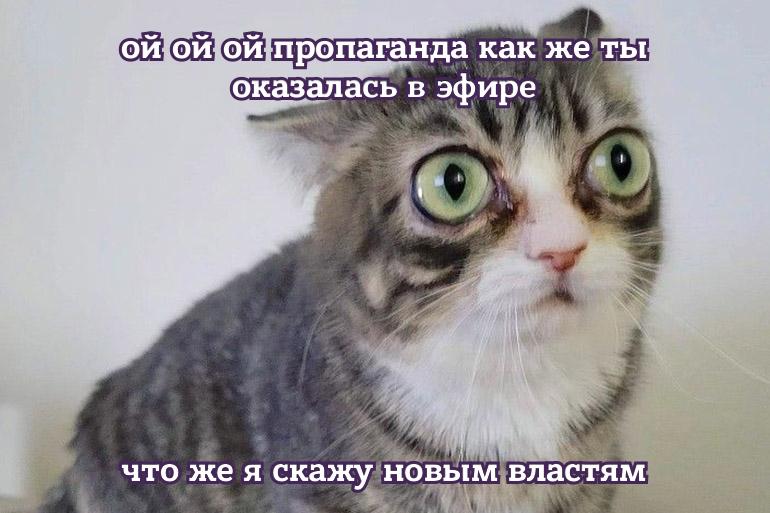 Фото поста канала  Лентач