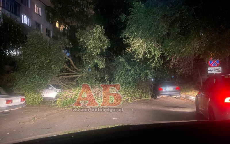 Фото поста канала  Авто Белгород