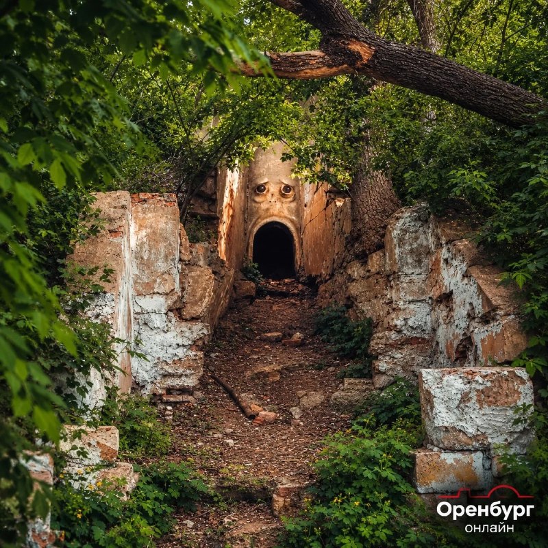 Фото поста канала  Оренбург онлайн | Новости