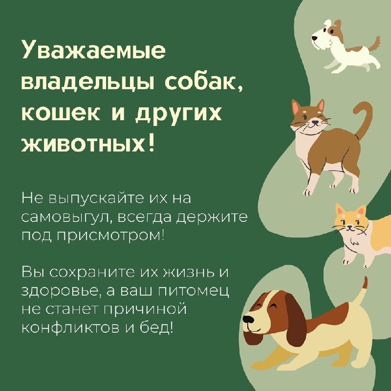 Фото поста канала  Лабинск Онлайн Новости 🇷🇺