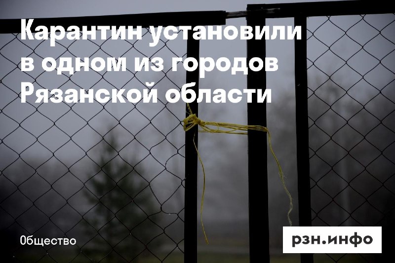 Фото поста канала  Новости Рязани • РЗН.инфо