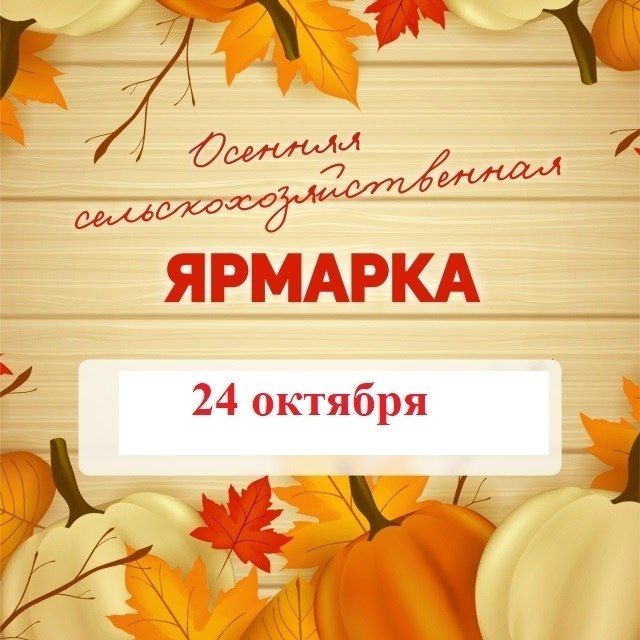 Фото поста канала  Информационный Димитровград